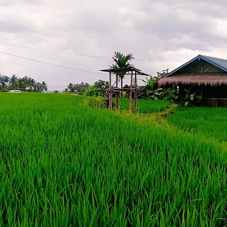 Bayan Exotic Homestay 森纳儒 外观 照片