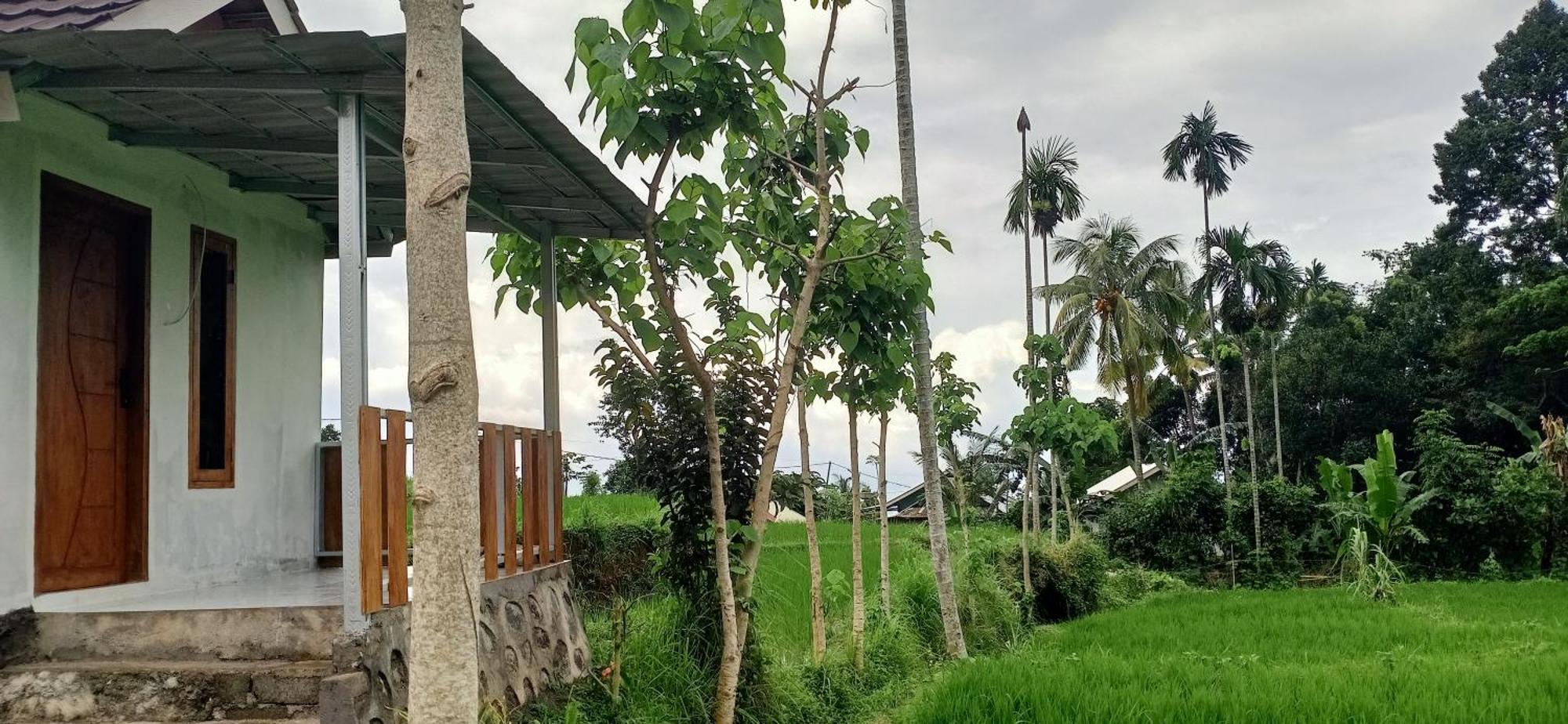 Bayan Exotic Homestay 森纳儒 外观 照片