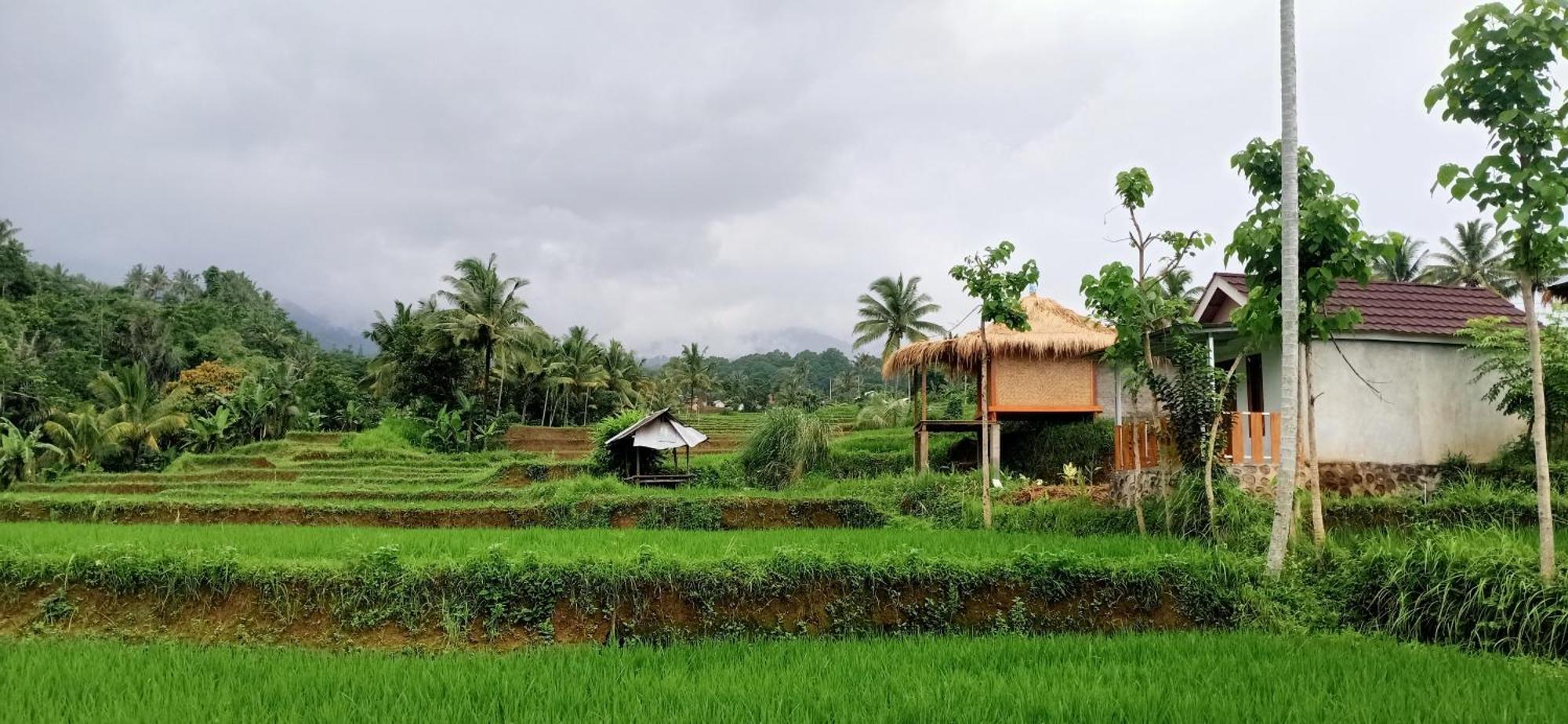 Bayan Exotic Homestay 森纳儒 外观 照片