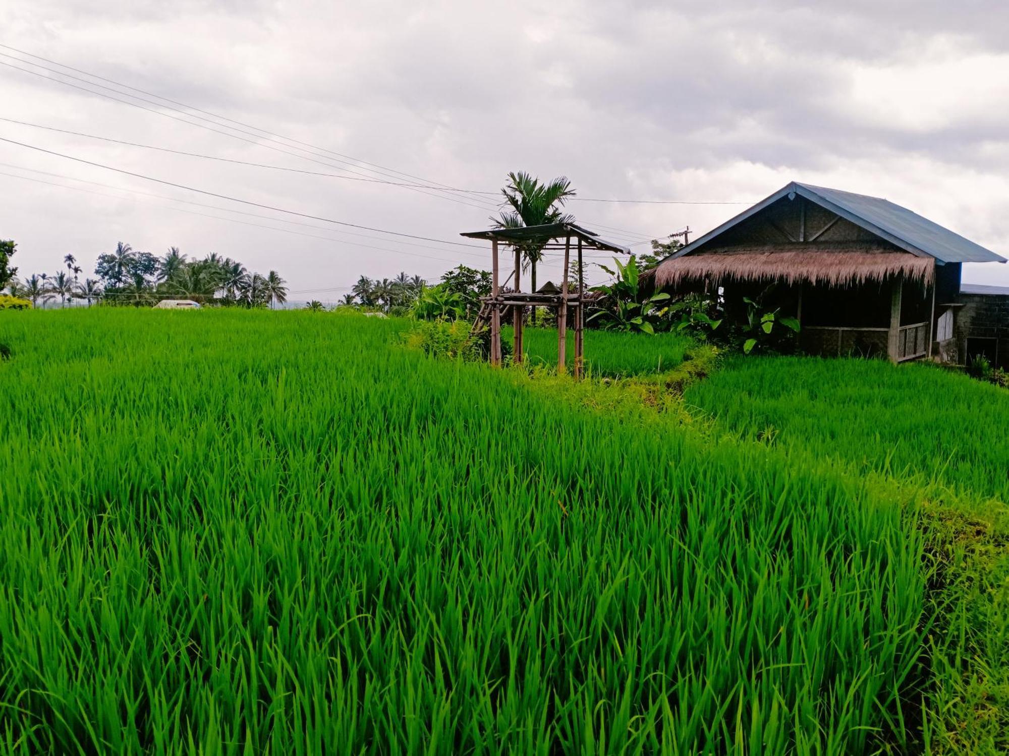 Bayan Exotic Homestay 森纳儒 外观 照片