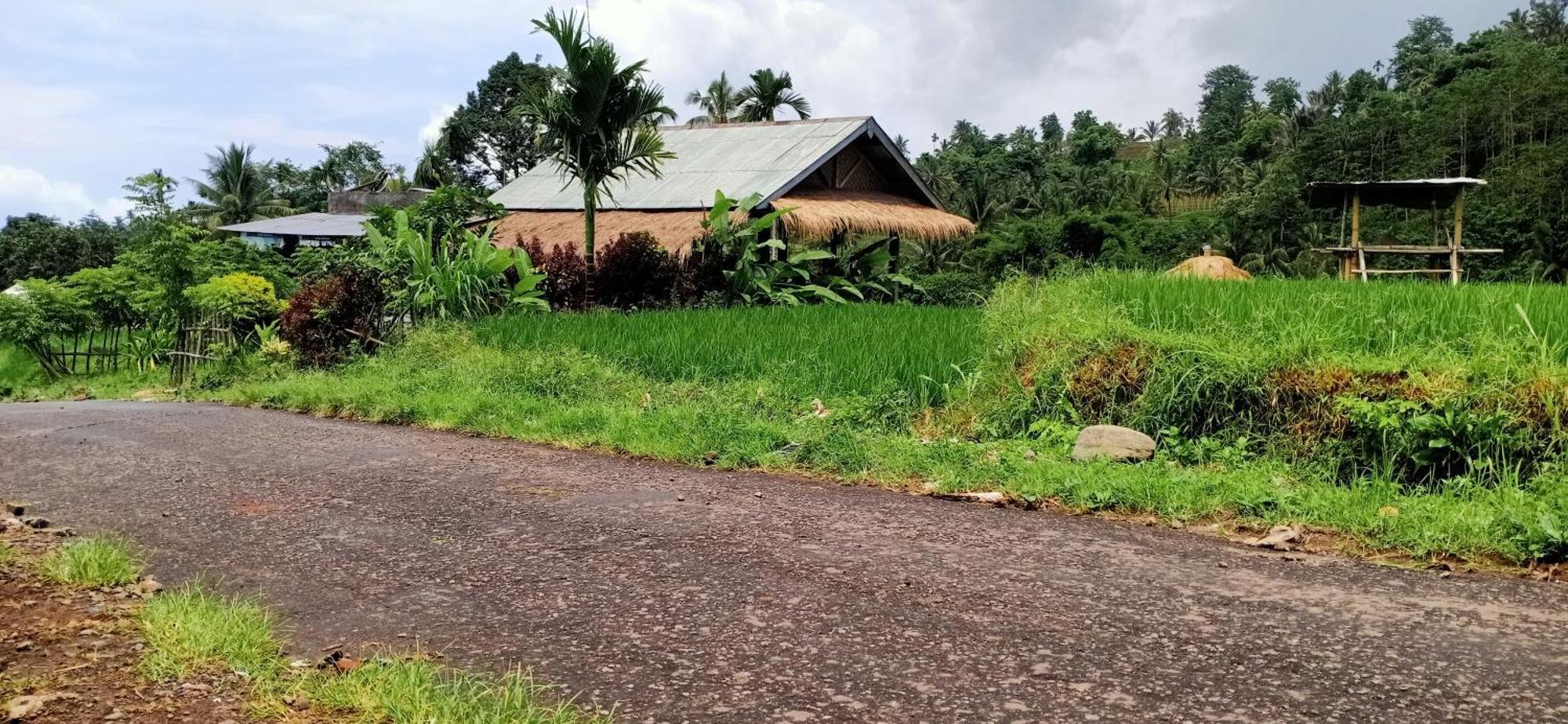 Bayan Exotic Homestay 森纳儒 外观 照片