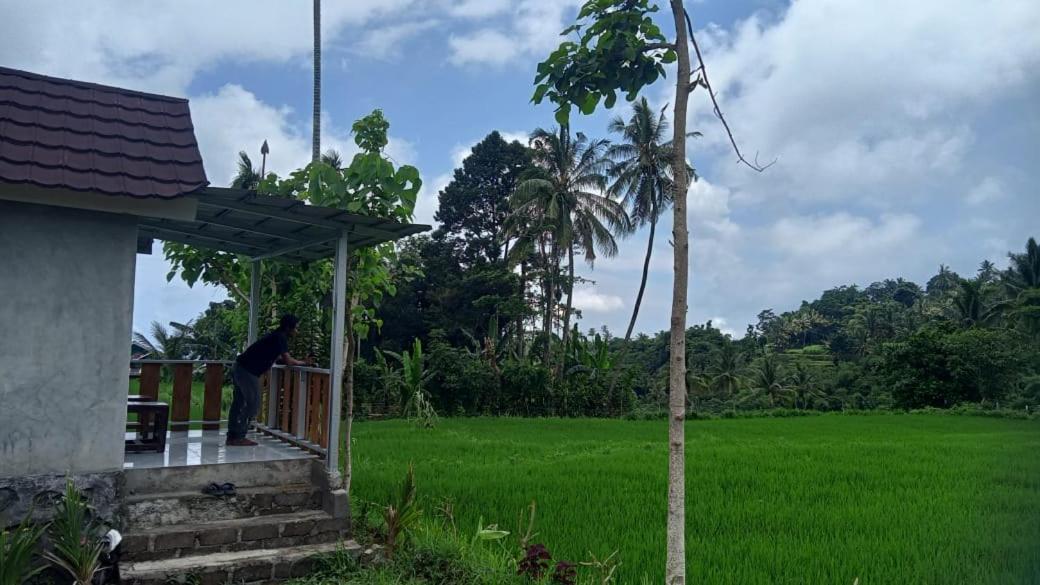 Bayan Exotic Homestay 森纳儒 外观 照片