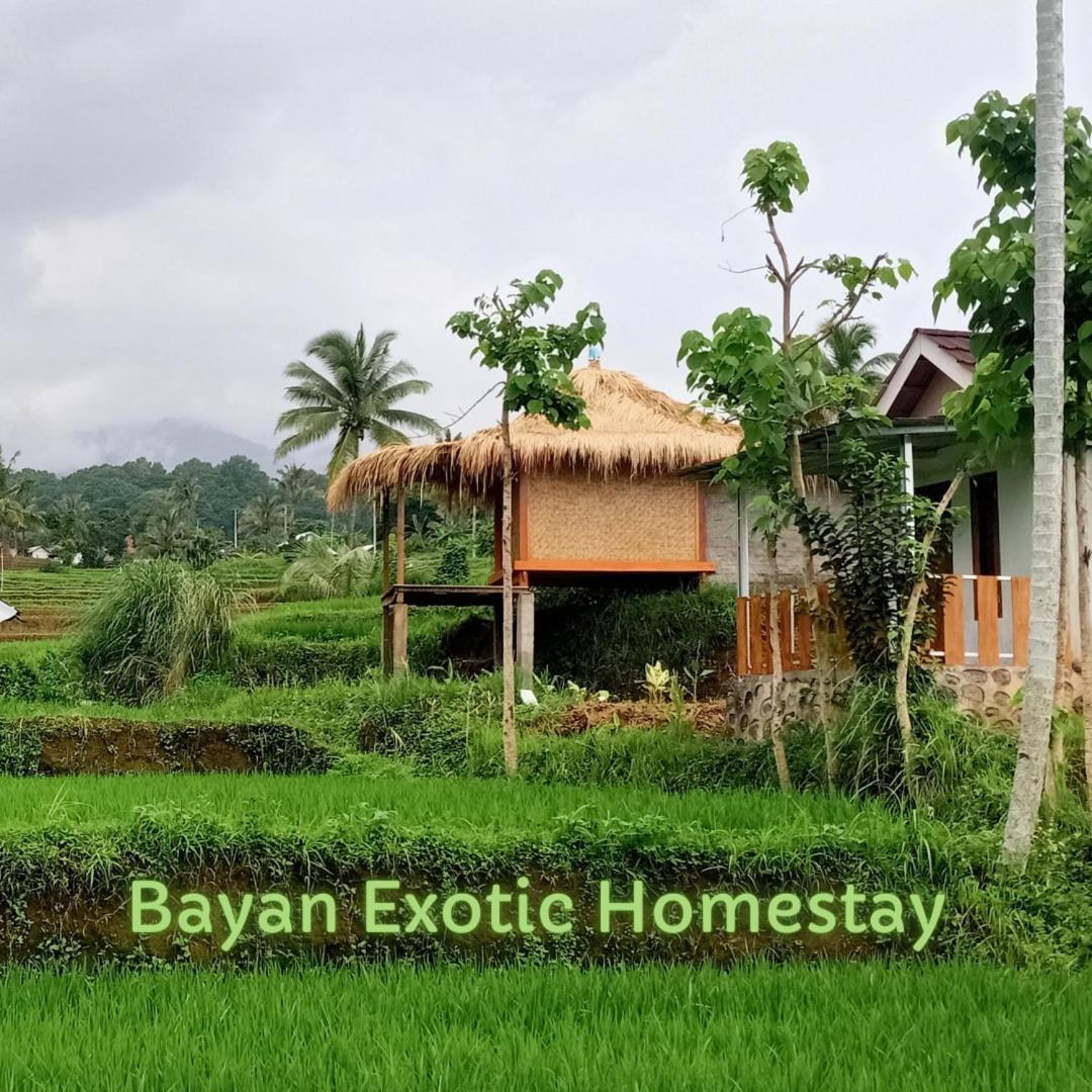 Bayan Exotic Homestay 森纳儒 外观 照片