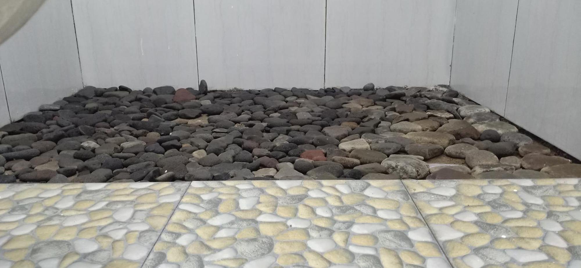 Bayan Exotic Homestay 森纳儒 外观 照片