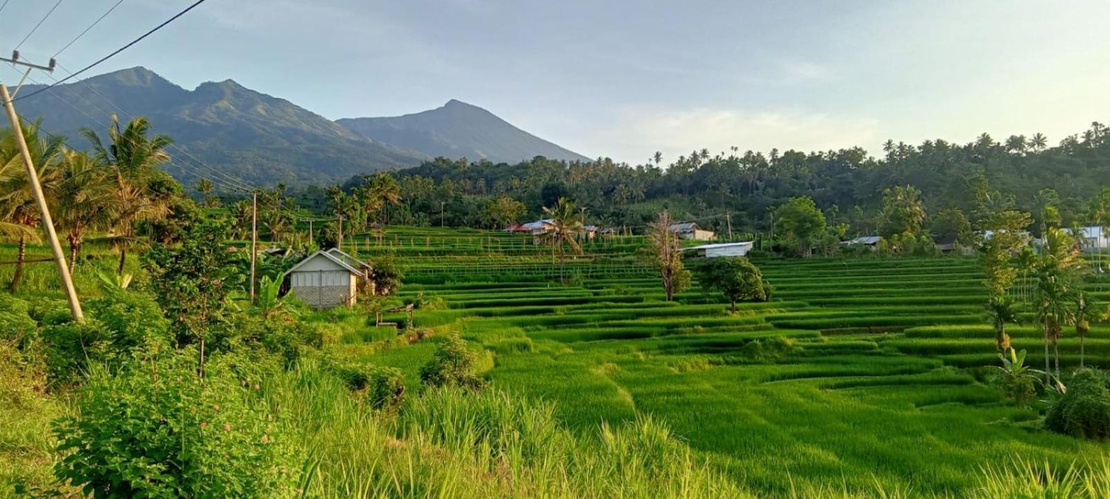 Bayan Exotic Homestay 森纳儒 外观 照片