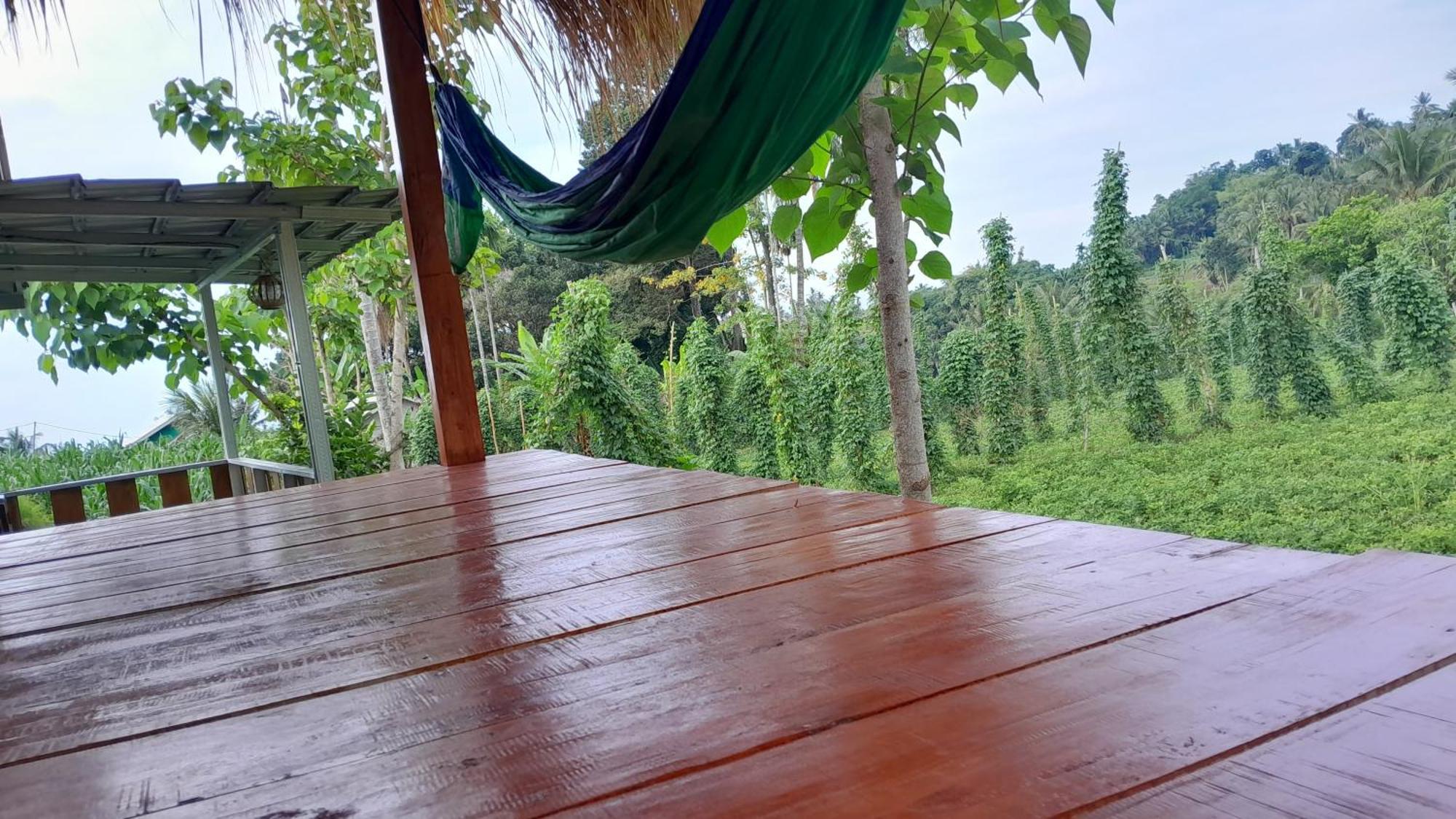 Bayan Exotic Homestay 森纳儒 外观 照片