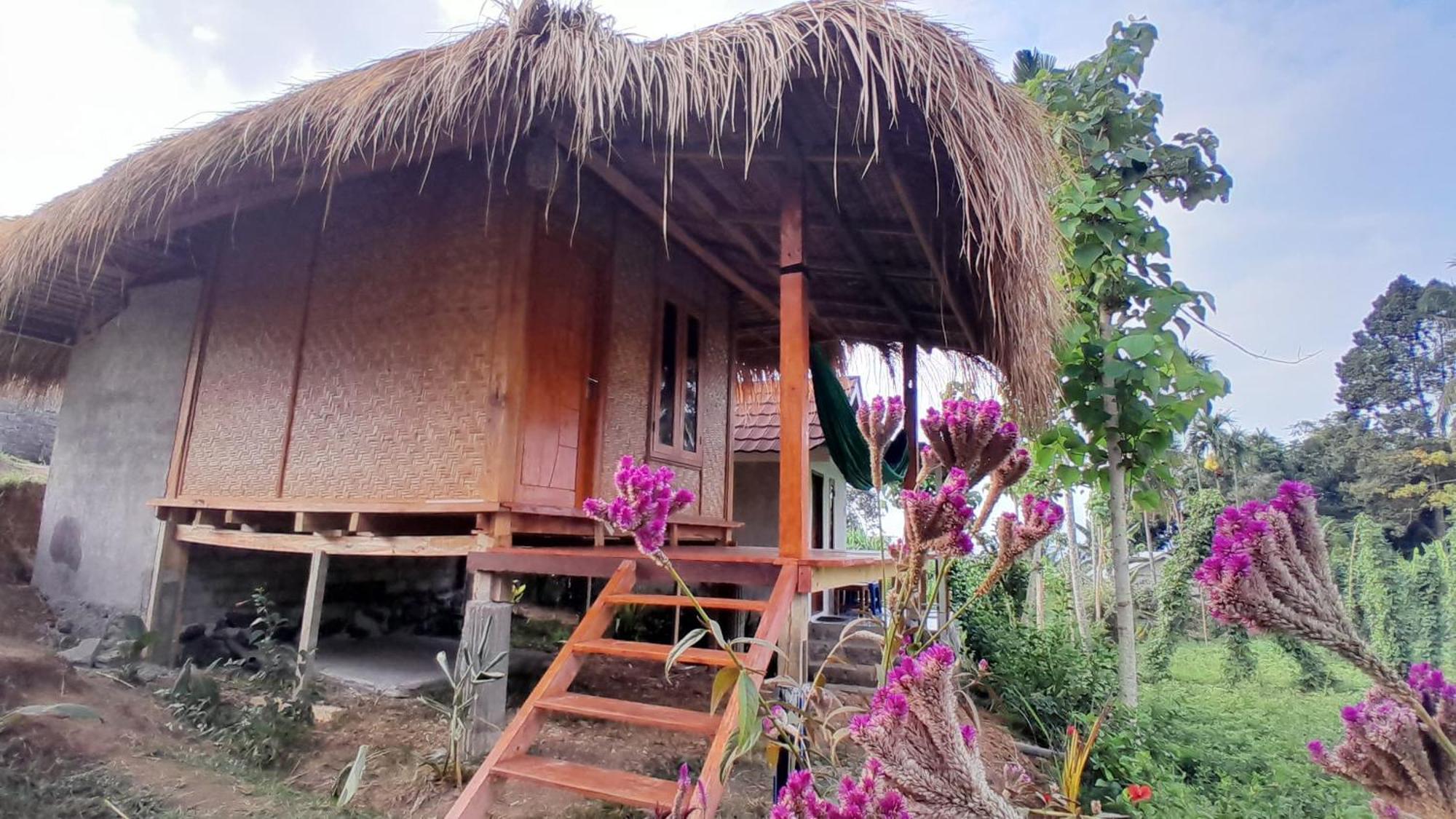 Bayan Exotic Homestay 森纳儒 外观 照片